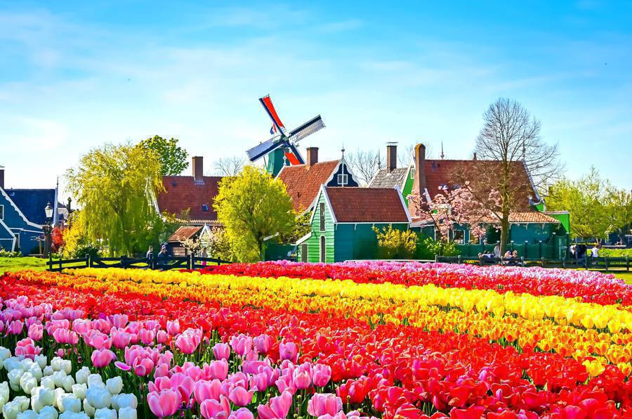 Olanda – Viaggiare ti renderà felice